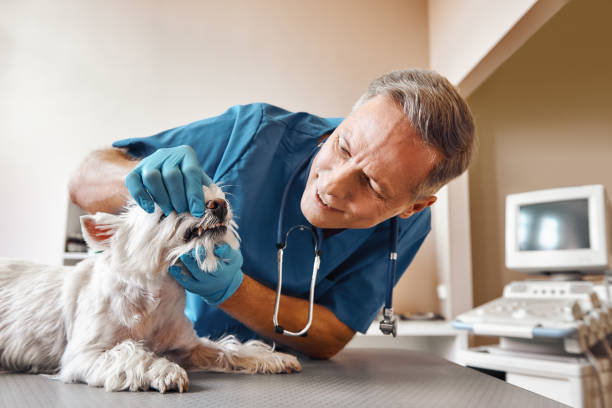 Best Broken Tooth Emergency  in Rib Mountain, WI